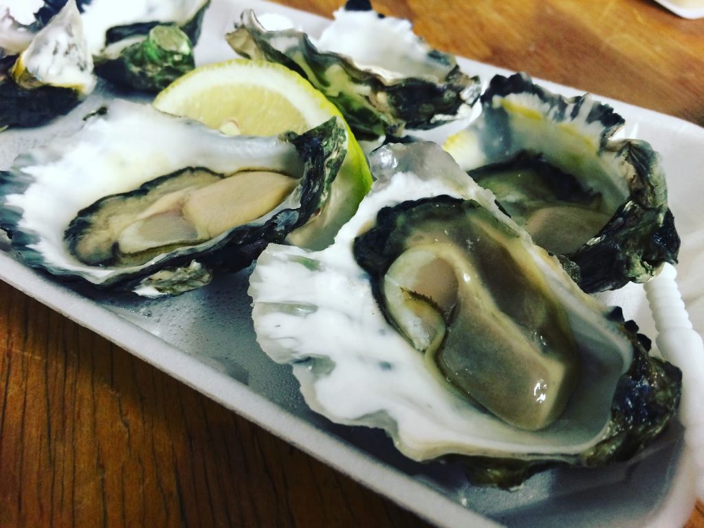 Boatshed Oysters.html